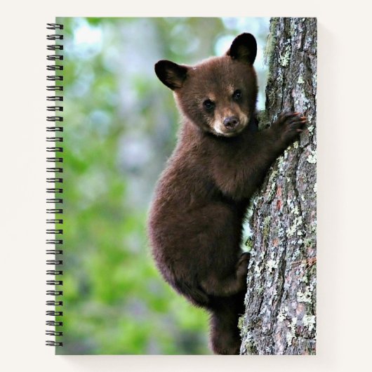 木に登るクマの子 ノートブック (正面)