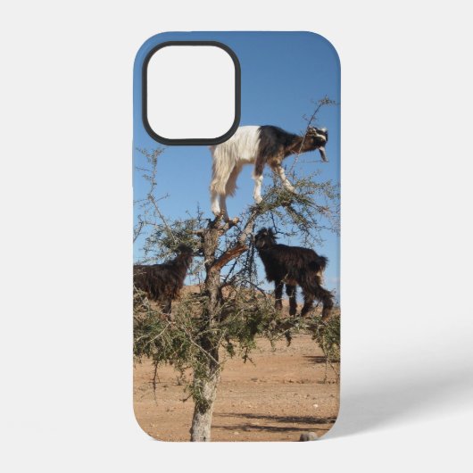 木に登るヤギ Case-Mate iPhoneケース iPhone 12ケース (裏面)