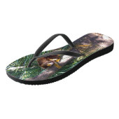 「木に登る:オーストラリアの木カンガルーが登る ビーチサンダル (アングル)