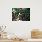 「木に登る:オーストラリアの木カンガルーが登る ポスター (キッチン)