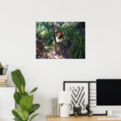 「木に登る:オーストラリアの木カンガルーが登る ポスター (ホームオフィス)