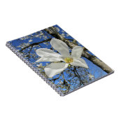 木に白いマグノリアの花。 ノートブック (右側)