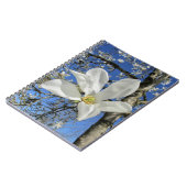 木に白いマグノリアの花。 ノートブック (左側)