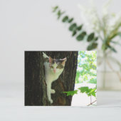 木に白い猫 ポストカード (スタンド正面)