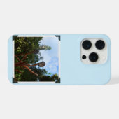 木に眠るコアラ iPhoneケース (裏面横)