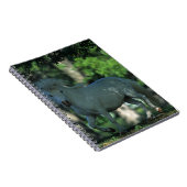 木に立っているミニチュア馬 ノートブック (右側)