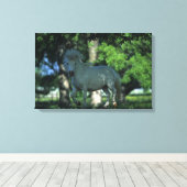 木に立つミニチュアの馬 キャンバスプリント (インサイチュ (ウッドフロア))