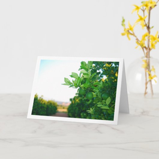 木に緑のオレンジ カード (黄色い花)