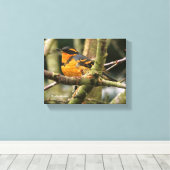 木に美しい多様なツグミの松の鳥 キャンバスプリント (インサイチュ (ウッドフロア))