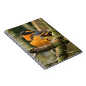 木に美しい多様なツグミの松の鳥 ノートブック (右側)