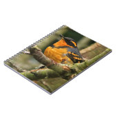 木に美しい多様なツグミの松の鳥 ノートブック (左側)