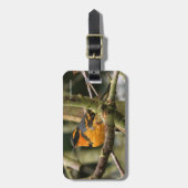 木に美しい多様なツグミの松の鳥 ラゲッジタグ (正面縦)