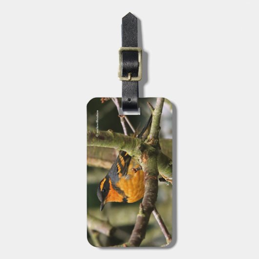 木に美しい多様なツグミの松の鳥 ラゲッジタグ (正面縦)