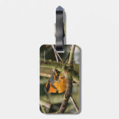 木に美しい多様なツグミの松の鳥 ラゲッジタグ (裏面縦)