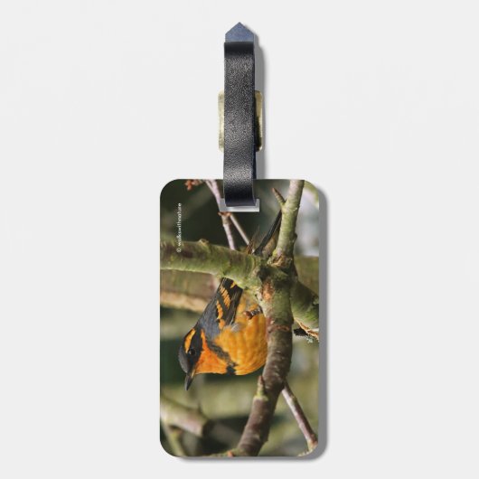 木に美しい多様なツグミの松の鳥 ラゲッジタグ (裏面縦)