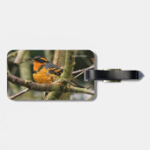 木に美しい多様なツグミの松の鳥 ラゲッジタグ (裏面横)