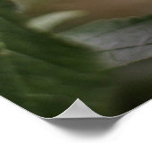 木に美しい赤い(鳥)ショウジョウコウカンチョウの鳥 ポスター (角)