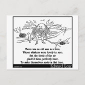 木に老人がいた ポストカード (正面)