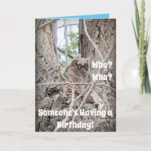 木に誕生日ベビーフクロウがいる カード (正面)