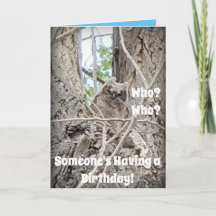 木に誕生日ベビーフクロウがいる