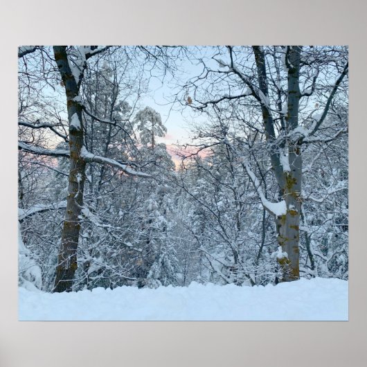 木に雪が積もるツインピーク ポスター (正面)