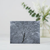 木に雪を積む ポストカード (スタンド正面)