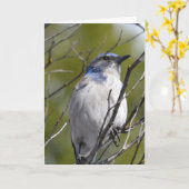 木に青い鳥 カード (黄色い花)
