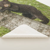 木に黒いクマの子 シェルパブランケット (3/4)