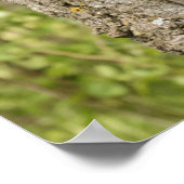 木に黒いクマの子 ポスター (角)