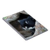 木のうろの黒うさぎ ノートブック (右側)