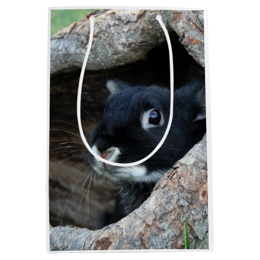 木のうろの黒うさぎ ミディアムペーパーバッグ (正面)