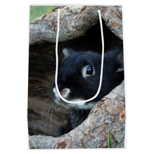 木のうろの黒うさぎ ミディアムペーパーバッグ (裏面)