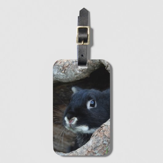 木のうろの黒うさぎ ラゲッジタグ (正面縦)