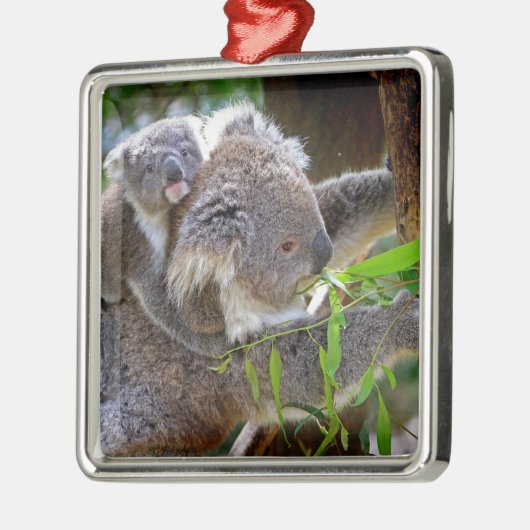木のお母さんを持つかわいいベビーのコアラ メタルオーナメント (左)