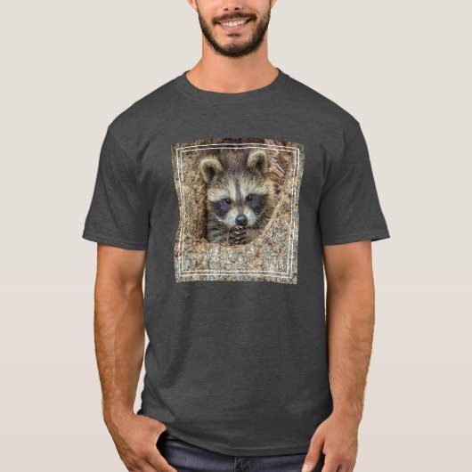 木のくぼみにもたれて眠るアライグマ Tシャツ (正面)