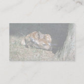 木のそばに横たわるシカジカ 名刺 (裏面)