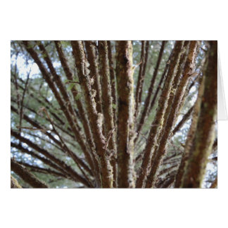 木のための森林