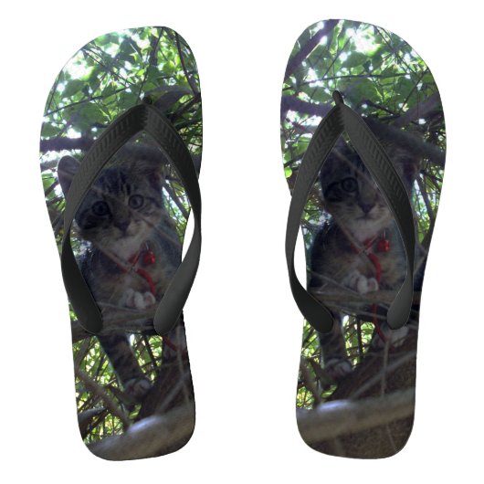 木のてっぺんにいる子ネコ ビーチサンダル (フットベッド)