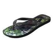 木のてっぺんにいる子ネコ ビーチサンダル (アングル)