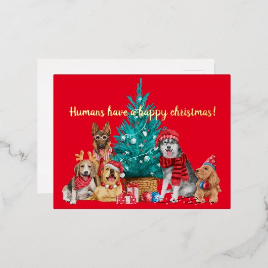 木のはがきの下の犬のクリスマスパック 箔シーズンポストカード (正面/裏面)