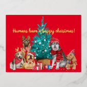 木のはがきの下の犬のクリスマスパック 箔シーズンポストカード (正面)