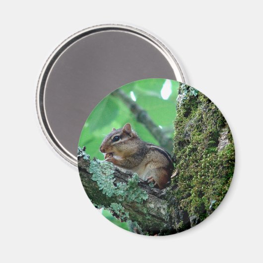 木のアパレルと贈り物を楽しむチムンク マグネット (正面/裏面)