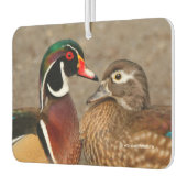 木のアヒルの間の美しい触れる瞬間 カーエアーフレッシュナー (左)