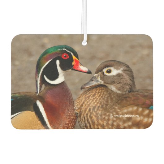 木のアヒルの間の美しい触れる瞬間 カーエアーフレッシュナー (正面)