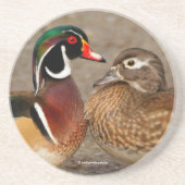 木のアヒルの間の美しい触れる瞬間 コースター (正面)