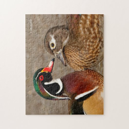 木のアヒルの間の美しい触れる瞬間 ジグソーパズル (縦)