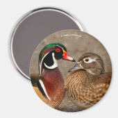 木のアヒルの間の美しい触れる瞬間 マグネット (正面/裏面)