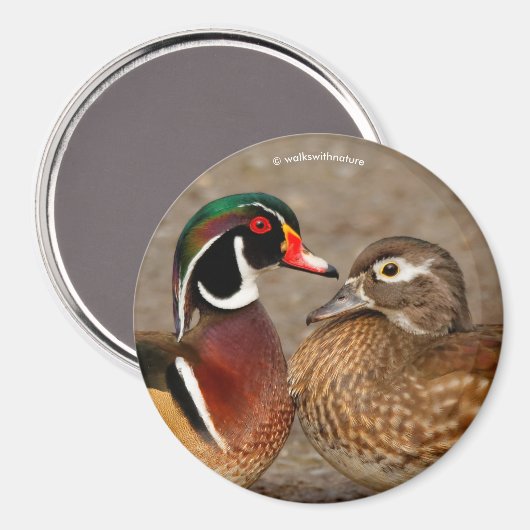 木のアヒルの間の美しい触れる瞬間 マグネット (正面/裏面)