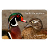 木のアヒルの間の美しい触れる瞬間 マグネット (横)