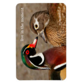 木のアヒルの間の美しい触れる瞬間 マグネット (縦)